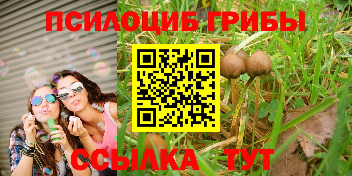Галлюциногенные грибы мицелий Луховицы