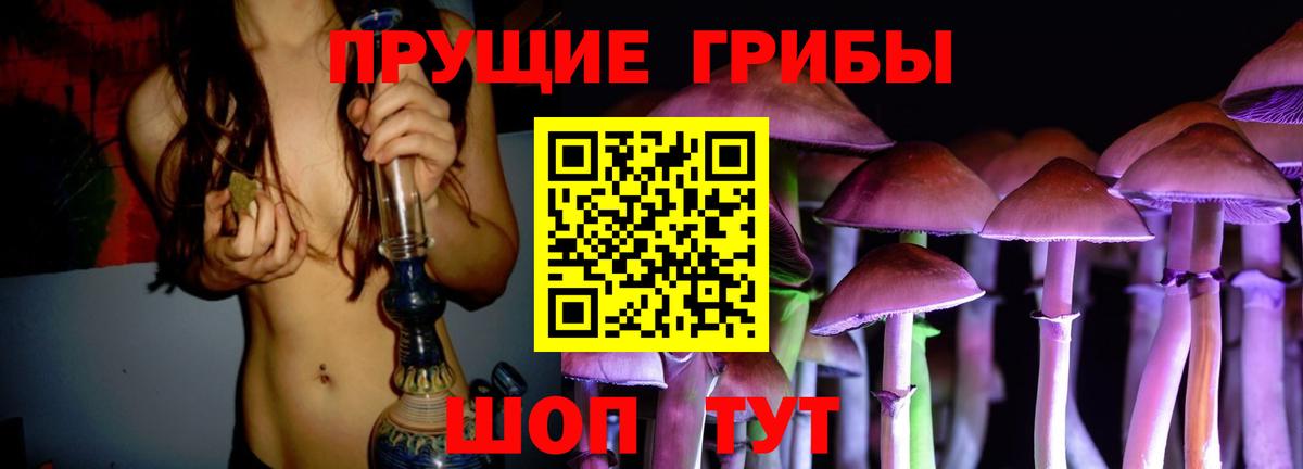 Галлюциногенные грибы Cubensis  Вход с VPN  Луховицы  Галлюциногенные грибы прущие грибы 